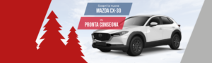 Mazda CX-30_SKYACTIV