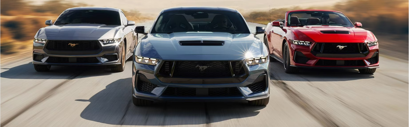 Car Service Auto usate in provincia di Pesaro e Urbino