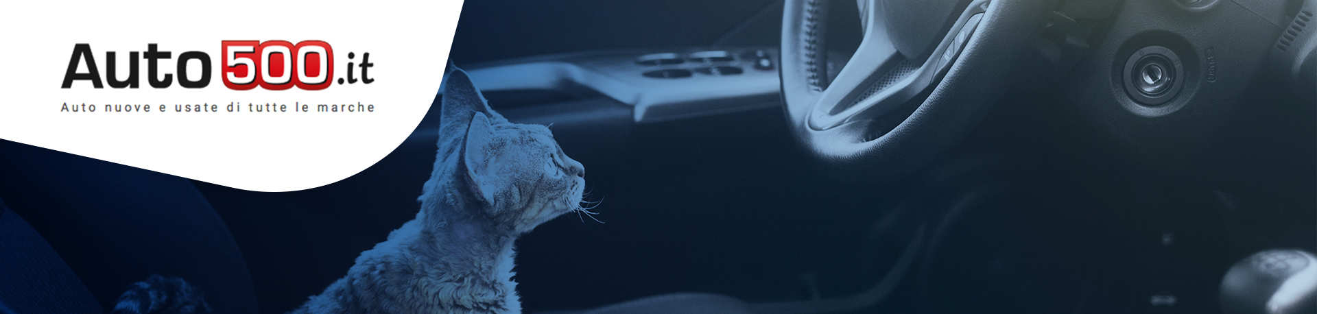 Viaggiare con il gatto in macchina