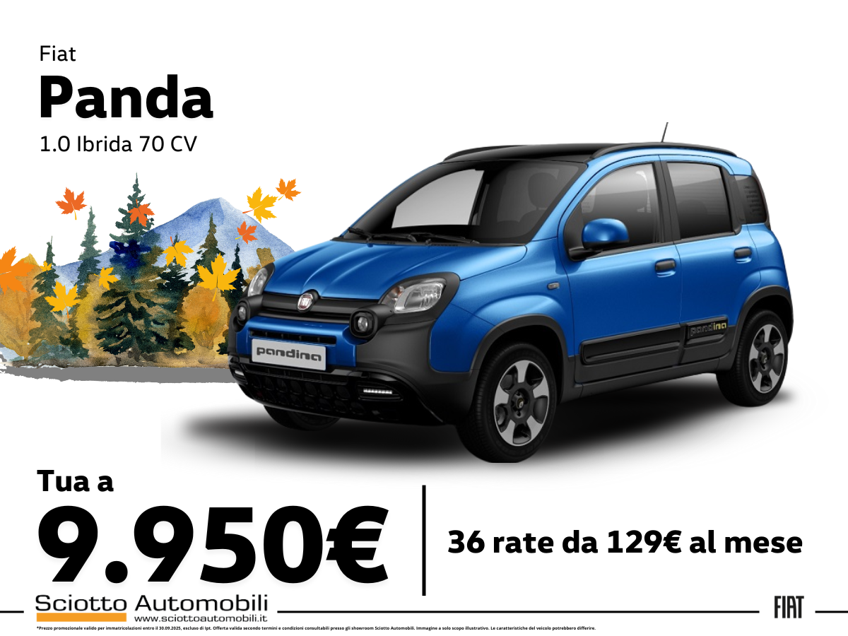 Auto 1